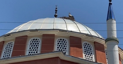 DOLU YAĞIŞINDAN KURTULAN LEYLEKLER MAHALLELİNİN TESELLİSİ OLDU  