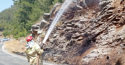 OTLUK ALANDA ÇIKAN YANGIN ORMANA SIÇRAMADAN SÖNDÜRÜLDÜ  