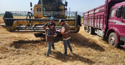 MANİSA’DA BİÇERDÖVERLERİN DANE KAYBINA SIKI DENETİM  