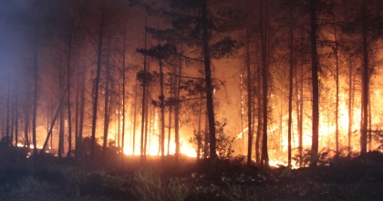 MUĞLA VALİLİĞİ’NDEN ORMAN YANGINI UYARISI