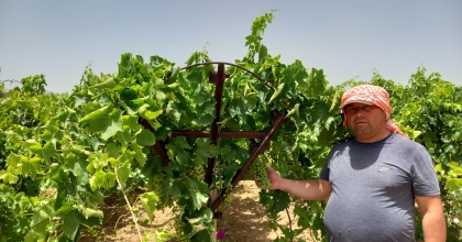 ÜRETİCİ KAVURUCU SICAKTA ÇALIŞMAYA DEVAM EDİYOR