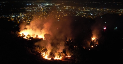 TİRE’DE BEŞ DÖNÜMLÜK ZEYTİNLİK ALAN YANGINDA ZARAR GÖRDÜ
