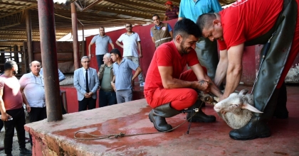 SALİHLİ’DE UYGULAMALI KURBAN KESİM EĞİTİMİ VERİLDİ