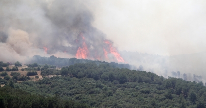 BUĞDAY TARLASINDA BAŞLAYAN YANGIN ORMANA SIÇRADI