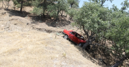 YOLDAN ÇIKAN OTOMOBİL AĞACA ÇARPTI: 3 YARALI  