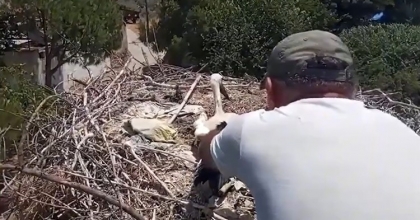 MUHTARIN DİKKATİ LEYLEĞİ KURTARDI