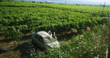 MANİSA’DA OTOMOBİL ÜZÜM BAĞINA UÇTU