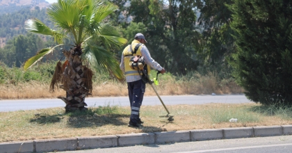 KAVURUCU SICAĞIN ALTINDA EKMEK PARASI İÇİN MÜCADELE EDİYORLAR