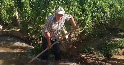 ÜZÜM BAĞLARI AŞIRI SICAKLARA KARŞI BOL BOL SULANIYOR