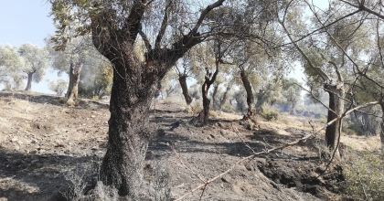 İNCELEMELER TAMAMLANDI, BAKANLIĞA AFET İHBARI YAPILACAK