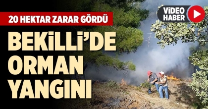 BEKİLLİ’DE ORMAN YANGINI 
