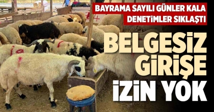 BELGESİZ GİRİŞE İZİN YOK