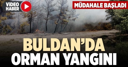 BULDAN’DA ORMAN YANGINI