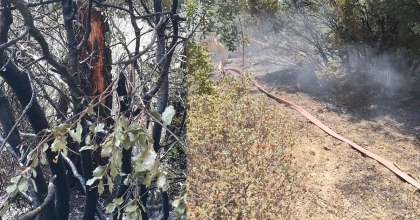 DENİZLİ’DE YILDIRIM YANGINA NEDEN OLDU  