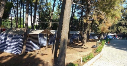 DİDİM’DE ORMAN KAMPI AÇILDI  