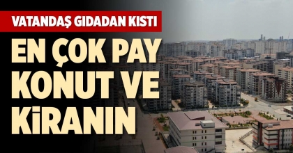 EN ÇOK PAY KONUT VE KİRANIN