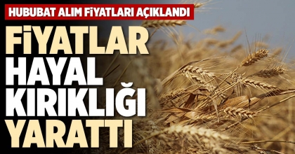 FİYATLAR HAYAL KIRIKLIĞI YARATTI