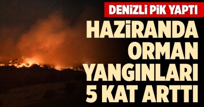 HAZİRANDA ORMAN YANGINLARI 5 KAT ARTTI