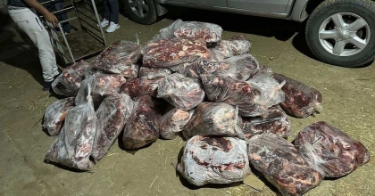 İNCİRLİOVA'DA 1 TON DOMUZ ETİ ELE GEÇİRİLDİ  