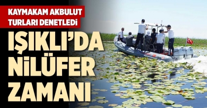 IŞIKLI’DA NİLÜFER ZAMANI