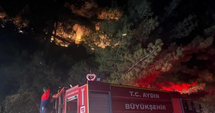 KUYUCAK'TA ORMANLIK ALANDA YANGIN ÇIKTI