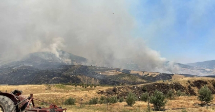 MANİSA’DA ZİRAİ ALANDA YANGIN  