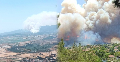 MENDERES’TE KORKUTAN ORMAN YANGINI