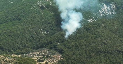 MİLAS’TA ORMANLIK ALANDA YANGIN ÇIKTI