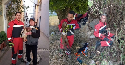 MUĞLA BÜYÜKŞEHİR İTFAİYESİ 5 AYDA 296 HAYVANI KURTARDI  