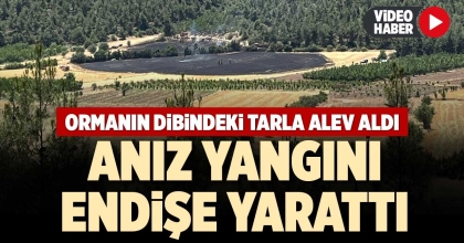 ORMANIN DİBİNDEKİ TARLA ALEV ALDI