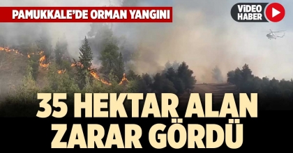 PAMUKKALE’DE ORMAN YANGINI