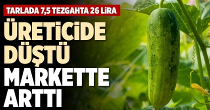 ÜRETİCİDE DÜŞTÜ, MARKETTE ARTTI