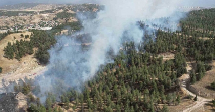 VALİLİKTEN ORMAN YANGINLARI UYARISI