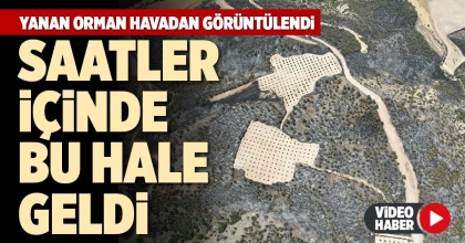 YANAN ORMAN HAVADAN GÖRÜNTÜLENDİ