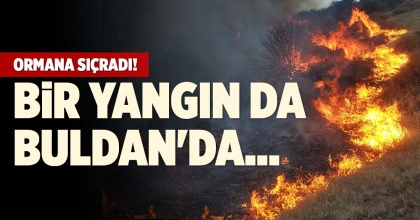 ORMANA SIÇRADI: BİR YANGIN DA BULDAN'DA…