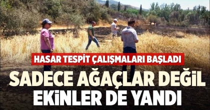 ÇAL YANGININ HASAR TESPİT ÇALIŞMALARI BAŞLADI