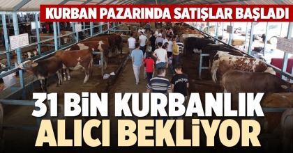 31 BİN KURBANLIK ALICI BEKLİYOR