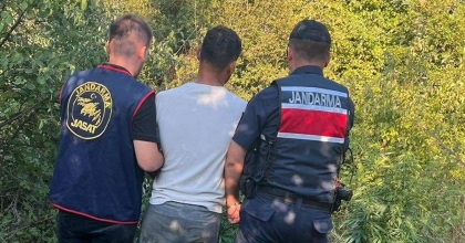 SÖKE’DE 18 KÖK HİNT KENEVİRİ ELE GEÇİRİLDİ   