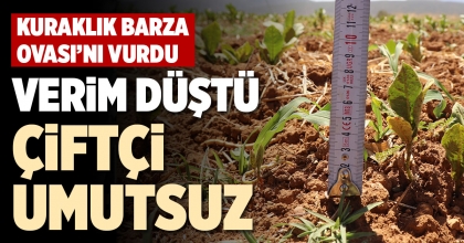 VERİM DÜŞTÜ ÇİFTÇİ UMUTSUZ