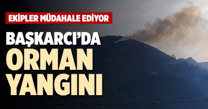 BAŞKARCI’DA ORMAN YANGINI