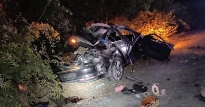 TIRIN OTOMOBİLLE ÇARPIŞTIĞI KAZADA 1 KİŞİ ÖLDÜ