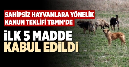 İLK 5 MADDE KABUL EDİLDİ