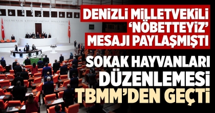 SOKAK HAYVANLARI DÜZENLEMESİ TBMM’DEN GEÇTİ