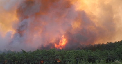  MUĞLA VALİLİĞİ'NDEN ORMAN YANGINI UYARISI