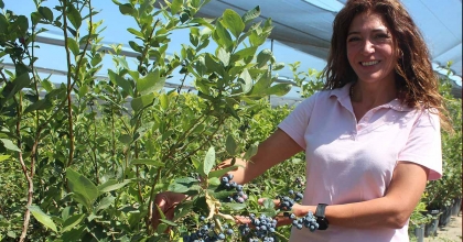 66 DÖNÜMLÜK BAHÇEDE YABAN MERSİNİ ÜRETİP İHRAÇ EDİYOR
