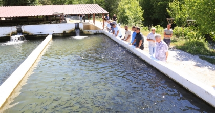 ÇAMELİ’DE BALIK ÇİFTLİKLERİNİ İNCELEDİLER