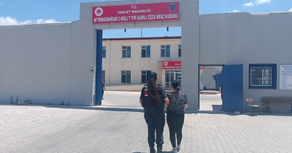 HIRSIZLIKTAN ARANIYORDU DEVRİYE GEZEN JANDARMAYA YAKALANDI   