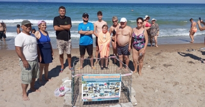 CARETTA CARETTALAR 3 AYRI NOKTAYA YUMURTA BIRAKTI   