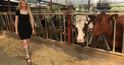 GAZETECİLİĞİ BIRAKIP HAYVANCILIĞA BAŞLADI 