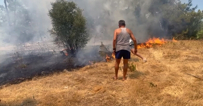 MİLAS’TA ORMAN YANGINI